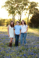 Bluebonnets